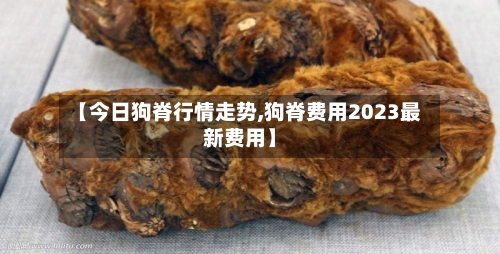 【今日狗脊行情走势,狗脊费用2023最新费用】