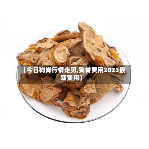 【今日狗脊行情走势,狗脊费用2023最新费用】
