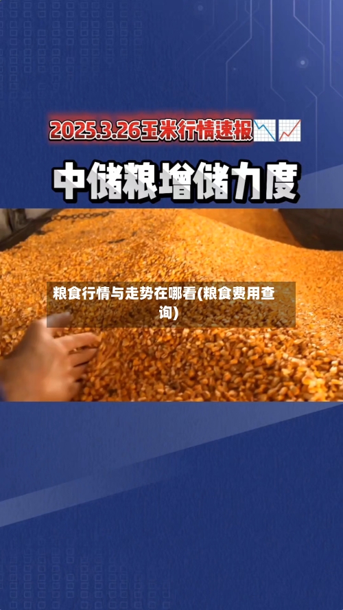 粮食行情与走势在哪看(粮食费用查询)