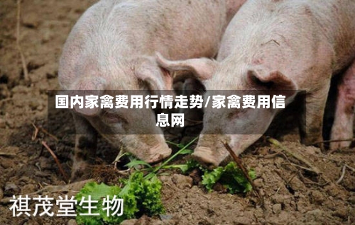 国内家禽费用行情走势/家禽费用信息网