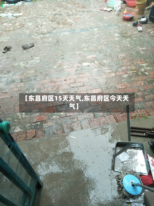 【东昌府区15天天气,东昌府区今天天气】