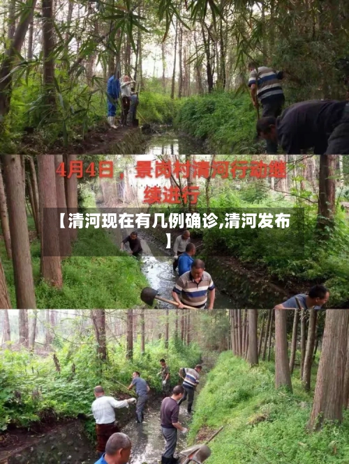 【清河现在有几例确诊,清河发布】