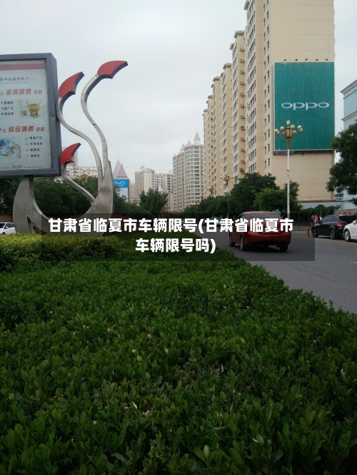 甘肃省临夏市车辆限号(甘肃省临夏市车辆限号吗)