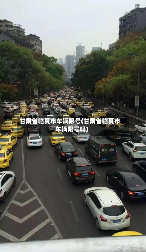 甘肃省临夏市车辆限号(甘肃省临夏市车辆限号吗)