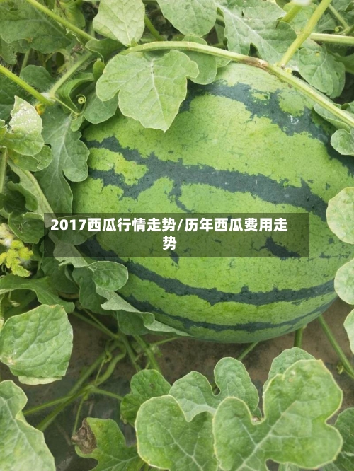 2017西瓜行情走势/历年西瓜费用走势