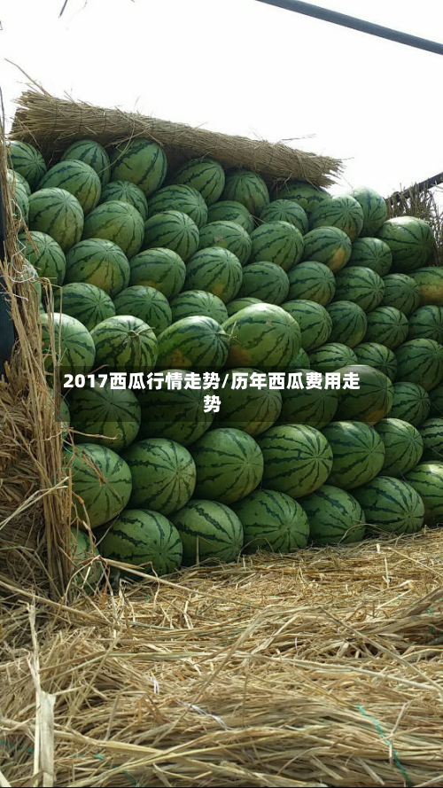 2017西瓜行情走势/历年西瓜费用走势