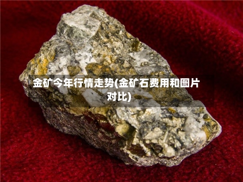 金矿今年行情走势(金矿石费用和图片对比)