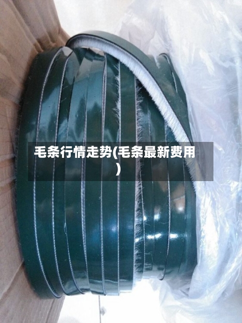 毛条行情走势(毛条最新费用)