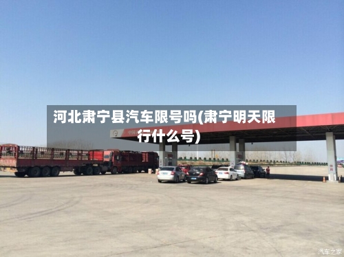 河北肃宁县汽车限号吗(肃宁明天限行什么号)
