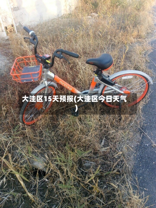 大洼区15天预报(大洼区今日天气)