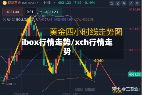 ibox行情走势/xch行情走势