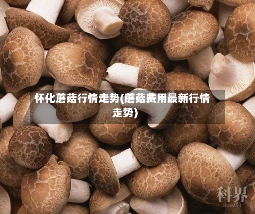 怀化蘑菇行情走势(蘑菇费用最新行情走势)