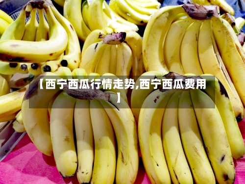 【西宁西瓜行情走势,西宁西瓜费用】