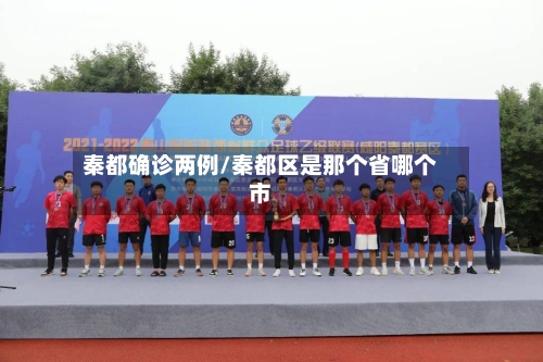 秦都确诊两例/秦都区是那个省哪个市
