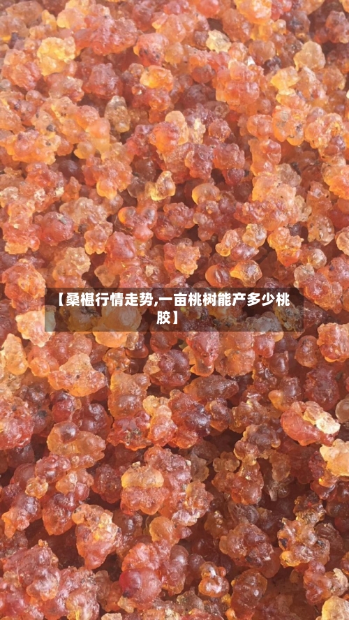 【桑椹行情走势,一亩桃树能产多少桃胶】