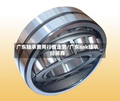 广东轴承费用行情走势/广东nsk轴承经销商