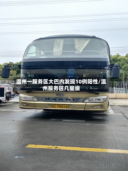 温州一服务区大巴内发现10例阳性/温州服务区几星级