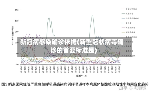新冠病感染确诊依据(新型冠状病毒确诊的首要标准是)