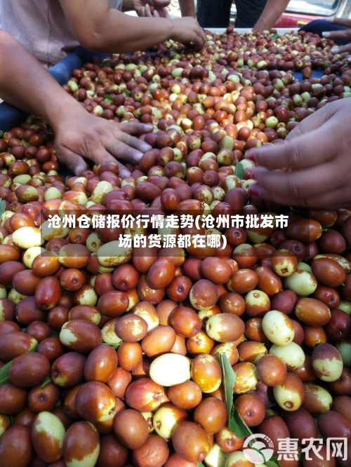 沧州仓储报价行情走势(沧州市批发市场的货源都在哪)