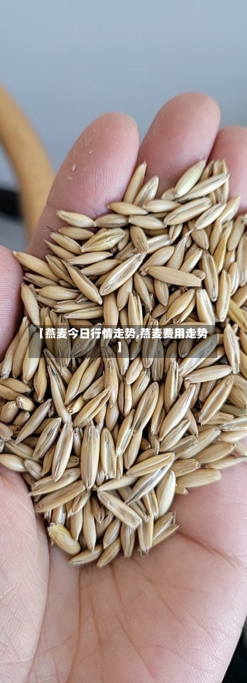 【燕麦今日行情走势,燕麦费用走势】