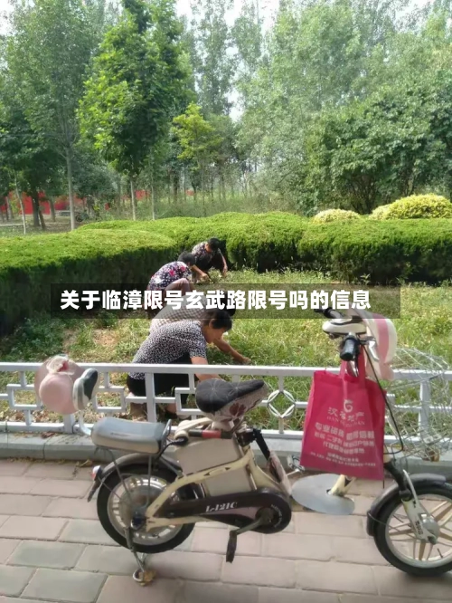 关于临漳限号玄武路限号吗的信息