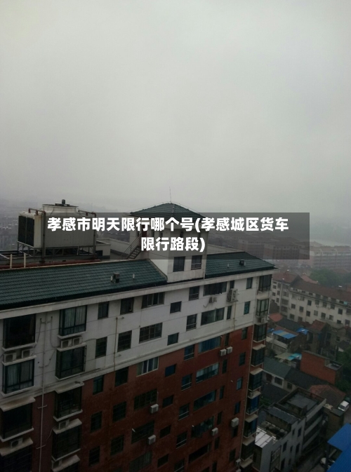孝感市明天限行哪个号(孝感城区货车限行路段)