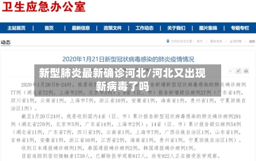 新型肺炎最新确诊河北/河北又出现新病毒了吗