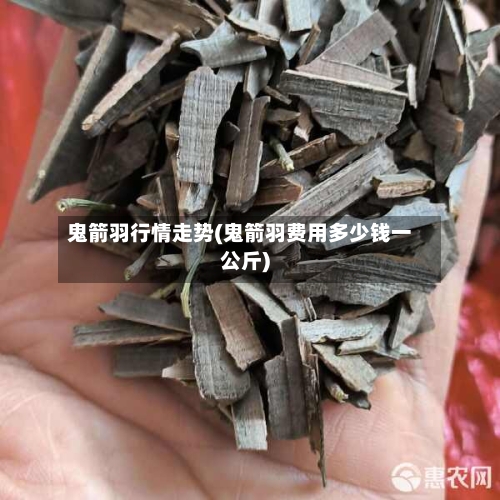 鬼箭羽行情走势(鬼箭羽费用多少钱一公斤)