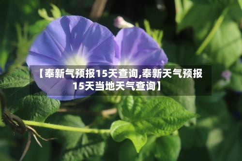 【奉新气预报15天查询,奉新天气预报15天当地天气查询】