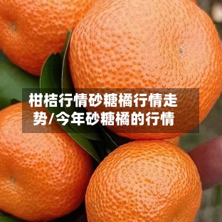 柑桔行情砂糖橘行情走势/今年砂糖橘的行情