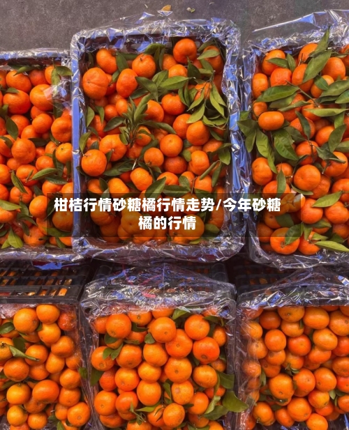 柑桔行情砂糖橘行情走势/今年砂糖橘的行情