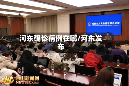 河东确诊病例在哪/河东发布