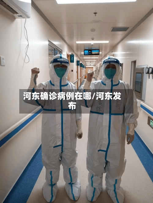 河东确诊病例在哪/河东发布