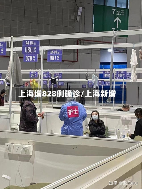 上海增828例确诊/上海新增