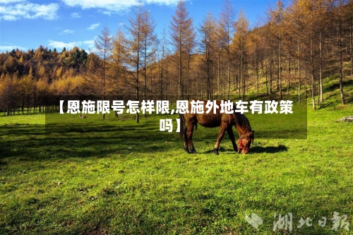 【恩施限号怎样限,恩施外地车有政策吗】