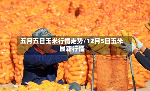 五月五日玉米行情走势/12月5日玉米最新行情