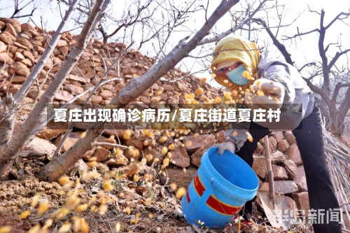 夏庄出现确诊病历/夏庄街道夏庄村