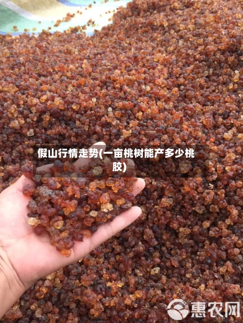 假山行情走势(一亩桃树能产多少桃胶)