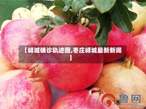 【峄城确诊轨迹图,枣庄峄城最新新闻】