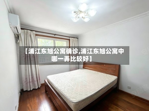 【浦江东旭公寓确诊,浦江东旭公寓中哪一弄比较好】