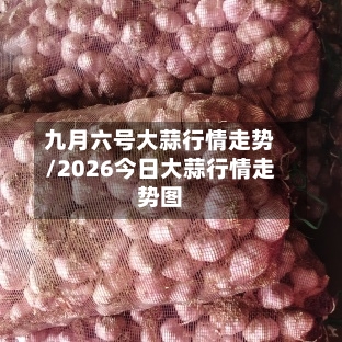 九月六号大蒜行情走势/2026今日大蒜行情走势图