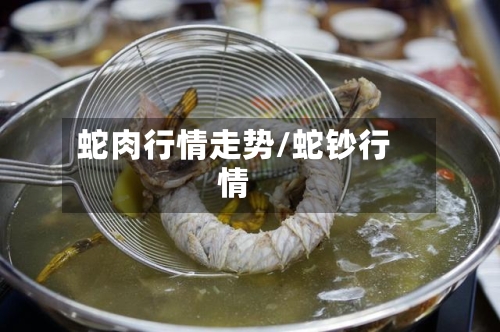 蛇肉行情走势/蛇钞行情