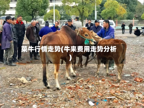 菜牛行情走势(牛来费用走势分析)