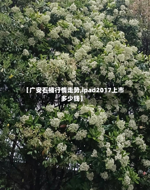 【广安石楠行情走势,ipad2017上市多少钱】