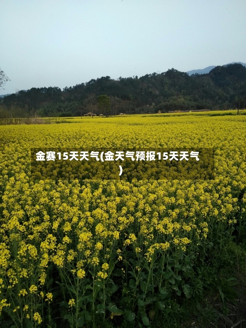 金赛15天天气(金天气预报15天天气)