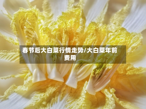 春节后大白菜行情走势/大白菜年前费用