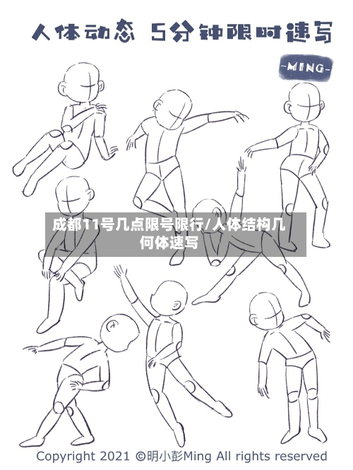 成都11号几点限号限行/人体结构几何体速写