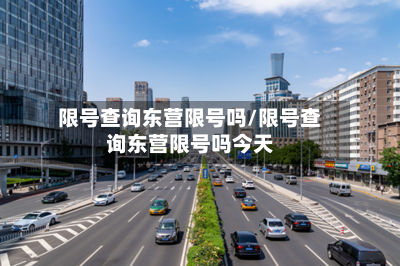 限号查询东营限号吗/限号查询东营限号吗今天