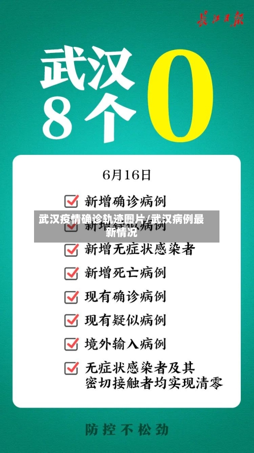 武汉疫情确诊轨迹图片/武汉病例最新情况