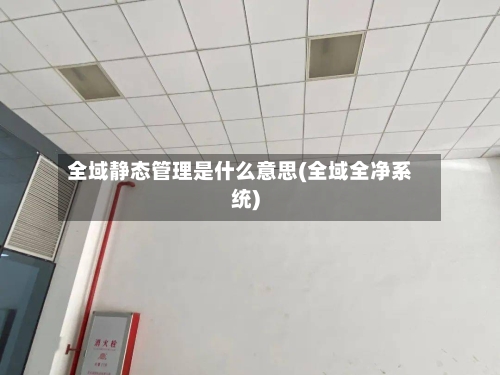 全域静态管理是什么意思(全域全净系统)